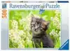 KATJE IN DE WEI (500) RAVENSBURGER