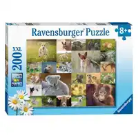 SCHATTIGE BABYDIEREN (200 XXL)