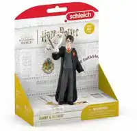 HARRY POTTER & HEDWIG