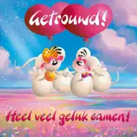 DIDDL 3D CARDS NL 3000 HUWELIJK