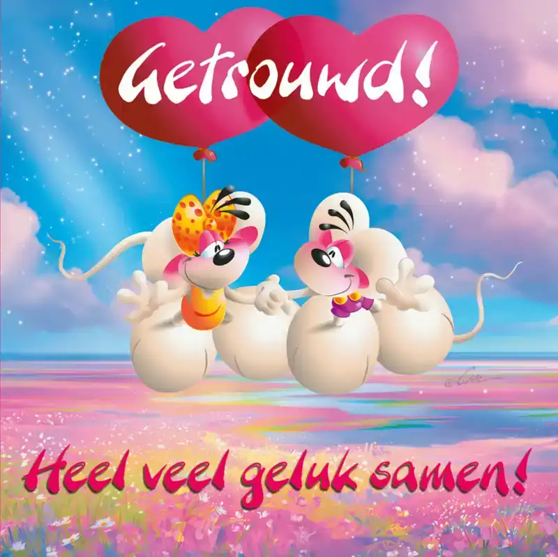 DIDDL 3D CARDS NL 3000 HUWELIJK