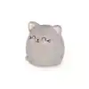 SCENTED ERASURE - MEOW - KITTY