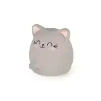 SCENTED ERASURE - MEOW - KITTY