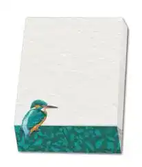 MEMO BLOCNOTE: DRIE VOGELS, ELWIN VAN DER KOLK, VOGELBESCHER