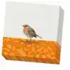 SERVETTEN: DRIE VOGELS, ELWIN VAN DER KOLK, VOGELBESCHERMING