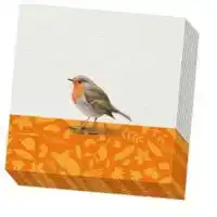 SERVETTEN: DRIE VOGELS, ELWIN VAN DER KOLK, VOGELBESCHERMING