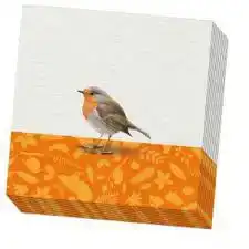 SERVETTEN: DRIE VOGELS, ELWIN VAN DER KOLK, VOGELBESCHERMING