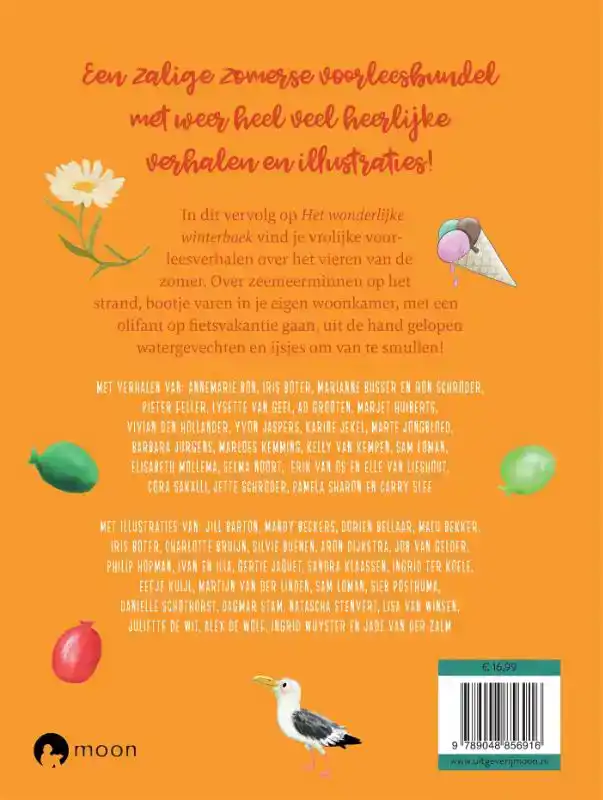 HET ZONNIGE ZOMERBOEK