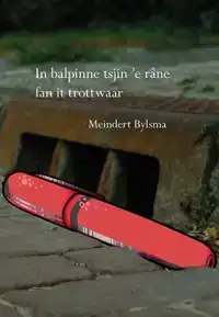 IN BALPINNE TSJIN 'E RANE FAN IT TROTWAAR