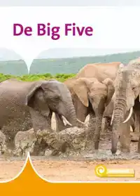 DE BIG FIVE