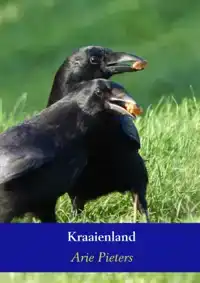 KRAAIENLAND