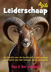 AGILE LEIDERSCHAAP