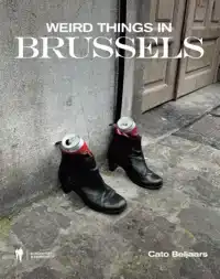 WEIRD THINGS IN BRUSSELS