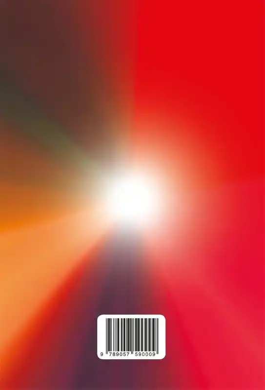 WIJ ZIJN LICHT