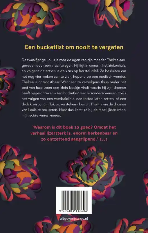 DE DROOMLIJST