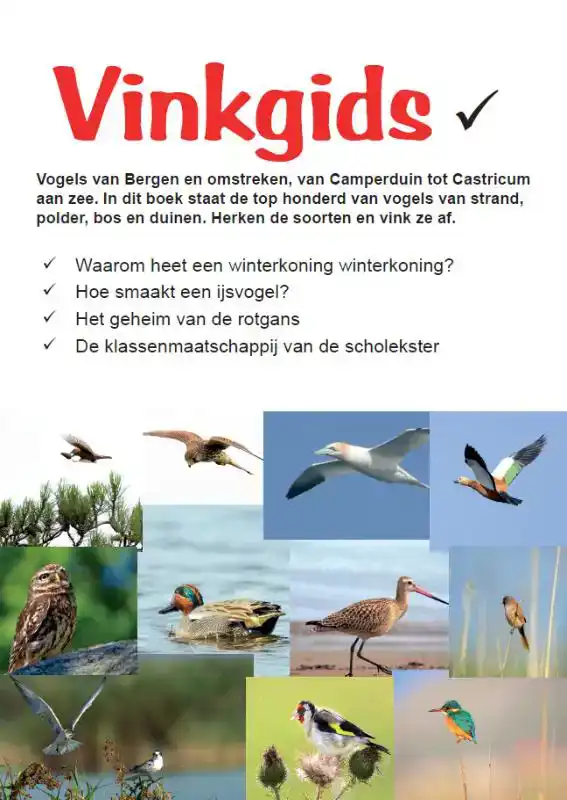 VINKGIDS