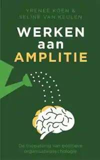 WERKEN AAN AMPLITIE
