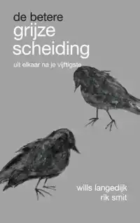 DE BETERE GRIJZE SCHEIDING