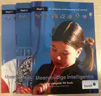 MEERVOUDIGE INTELLIGENTIE