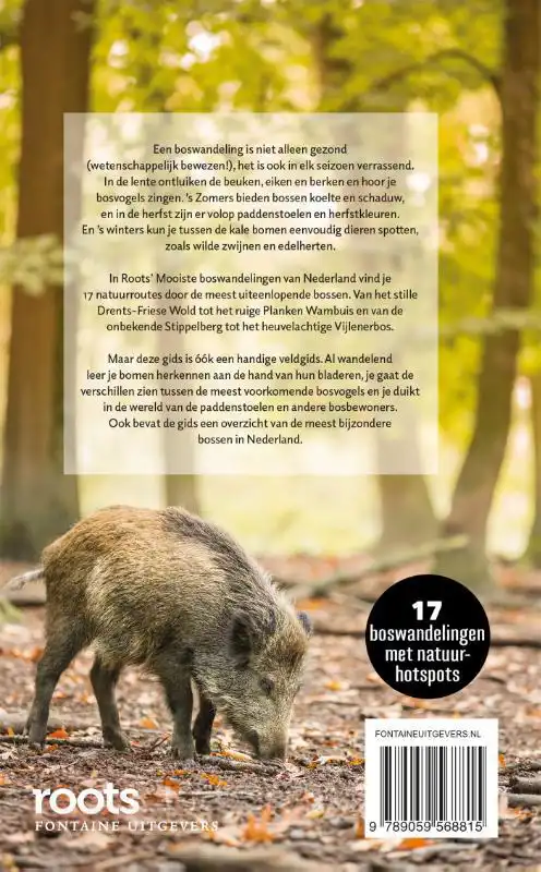 DE MOOISTE BOSWANDELINGEN VAN NEDERLAND