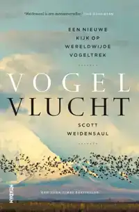 VOGELVLUCHT