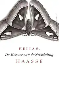 DE MEESTER VAN DE NEERDALING