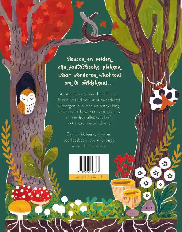 EEN WOUD VOL WONDEREN