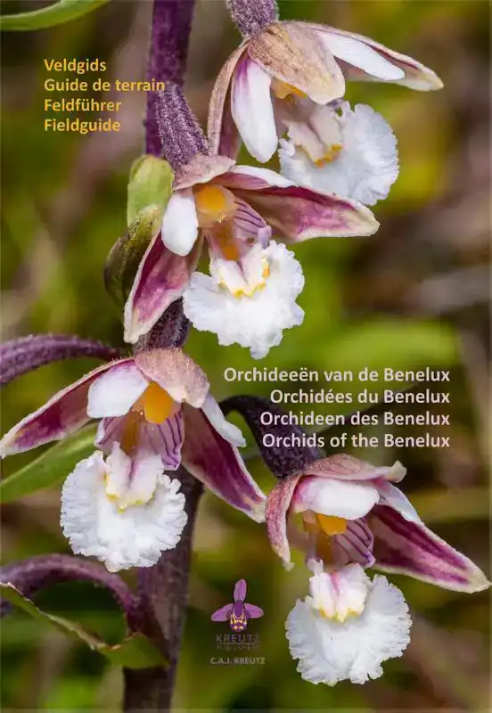 ORCHIDEEEN VAN DE BENELUX