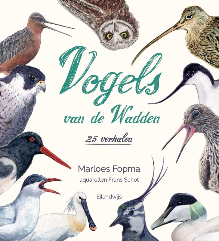 VOGELS VAN DE WADDEN