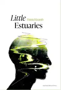 LITTLE ESTUARIES