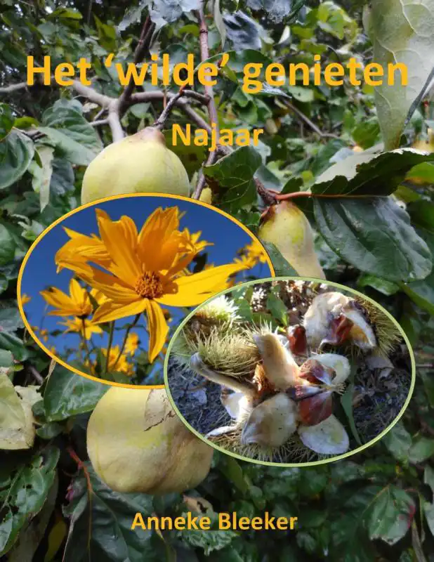 HET WILDE GENIETEN - NAJAAR