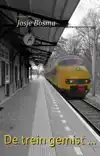DE TREIN GEMIST ...