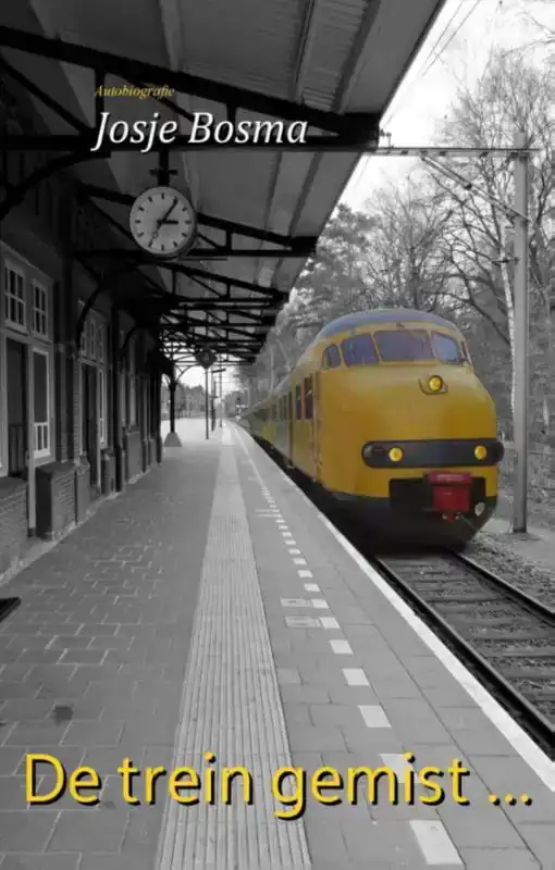 DE TREIN GEMIST ...