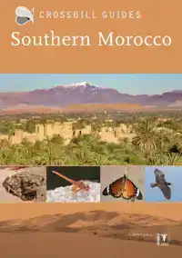 CROSSBILL GUIDE SOUTHERN MOROCCO