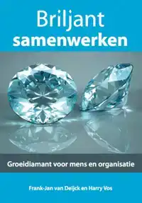 BRILJANT SAMENWERKEN