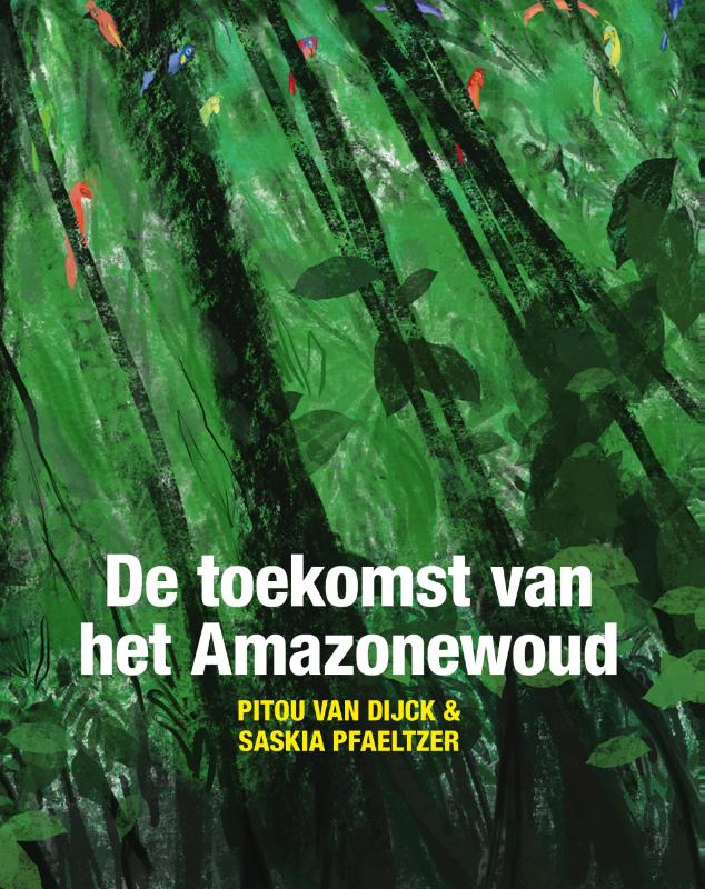 DE TOEKOMST VAN HET AMAZONEWOUD