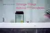 STRANGE THINGS BEHIND BELGIAN WINDOWS