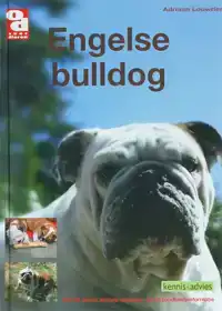 ENGELSE BULLDOG