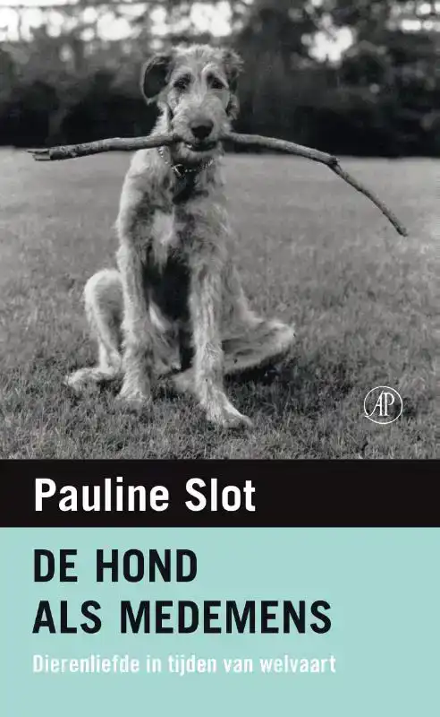 DE HOND ALS MEDEMENS