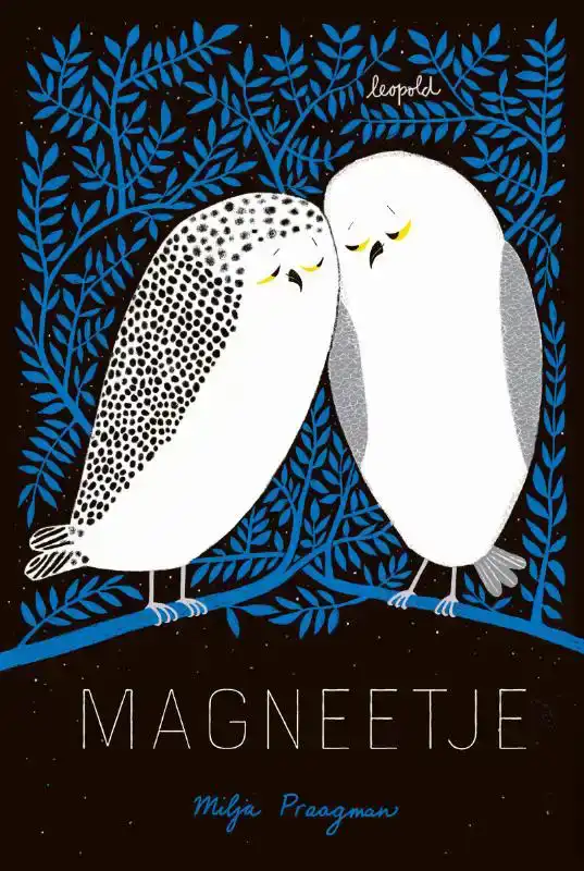 MAGNEETJE