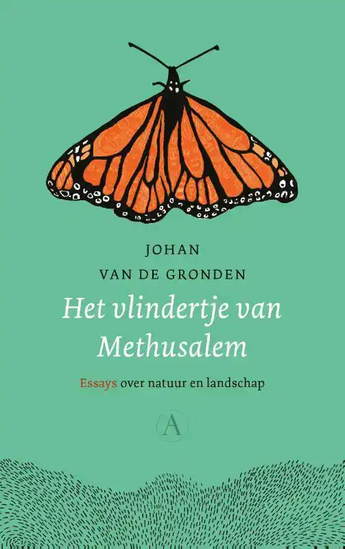 HET VLINDERTJE VAN METHUSALEM
