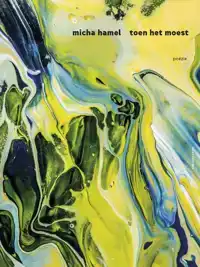 TOEN HET MOEST