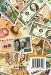TRAVEL REISDAGBOEK - GELD
