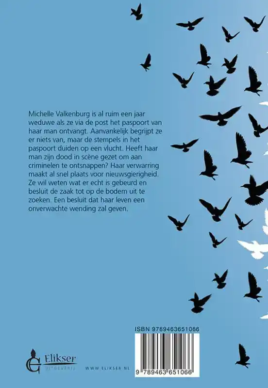 TERUG NAAR DE HEMEL