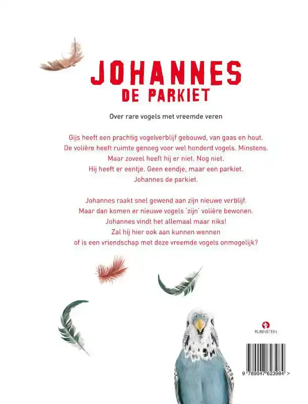 JOHANNES DE PARKIET