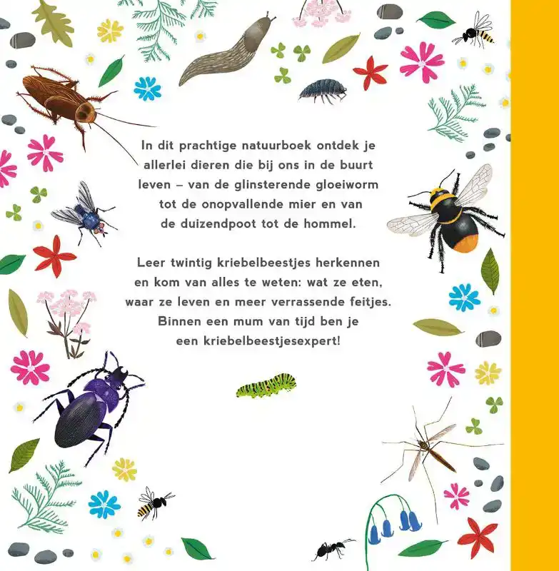 MIJN EERSTE KRIEBELBEESTJESBOEK