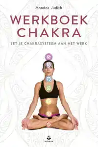 WERKBOEK CHAKRA