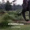 SUMATRA 2000
