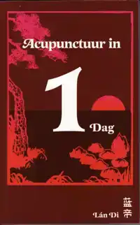 ACUPUNCTUUR IN EEN DAG