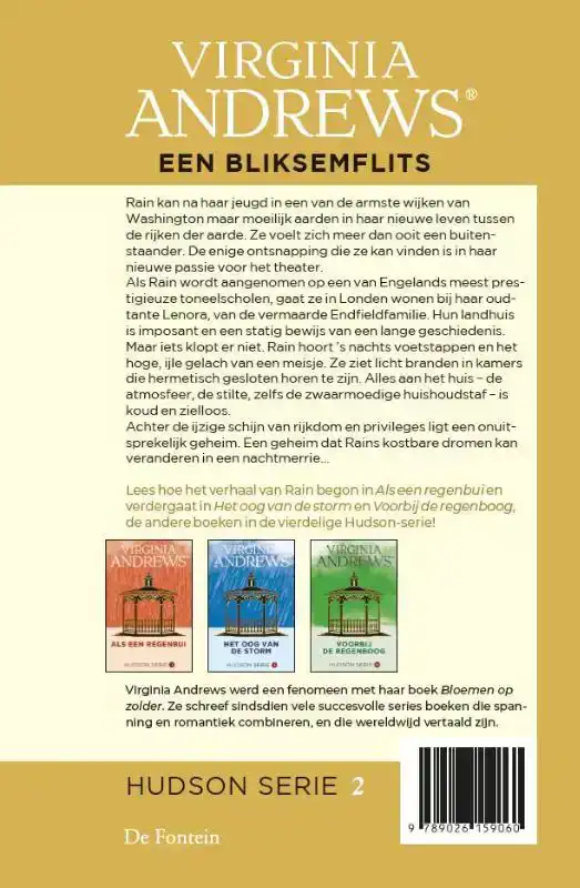 EEN BLIKSEMFLITS